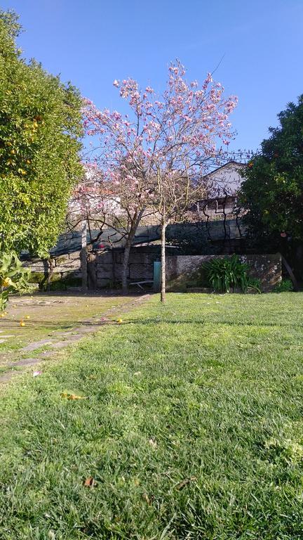 Casa Das Vendas المظهر الخارجي الصورة